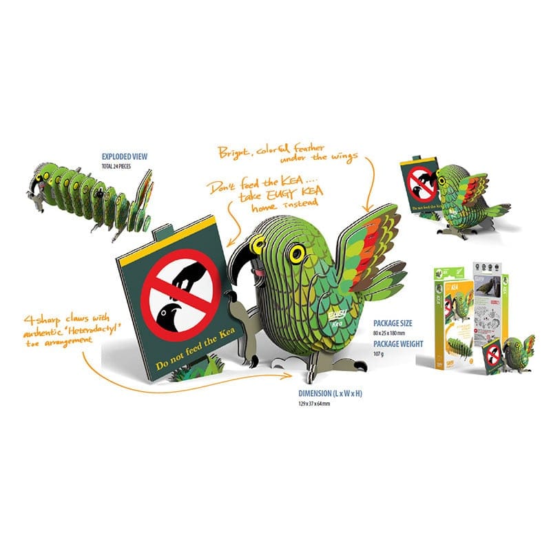 Eugy 3D Cardboard Puzzle - Kea - Image 4