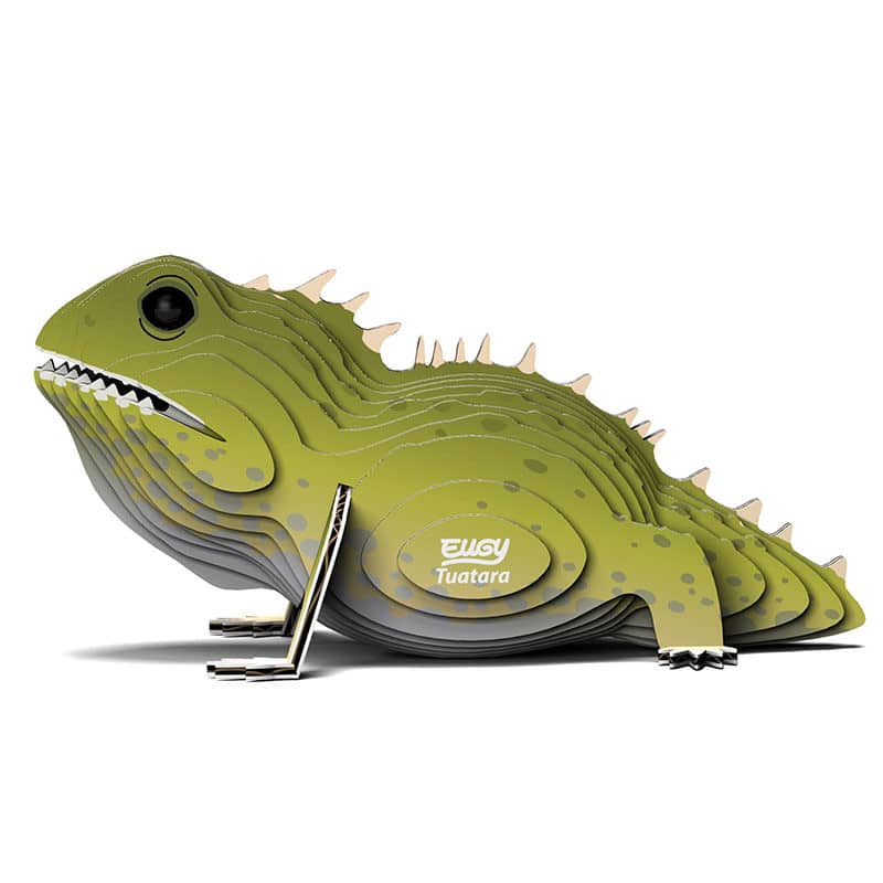 Eugy 3D Cardboard Puzzle - Tuatara - Image 3