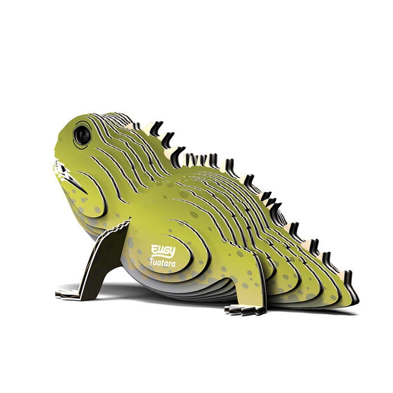 Eugy 3D Cardboard Puzzle - Tuatara - Image 4