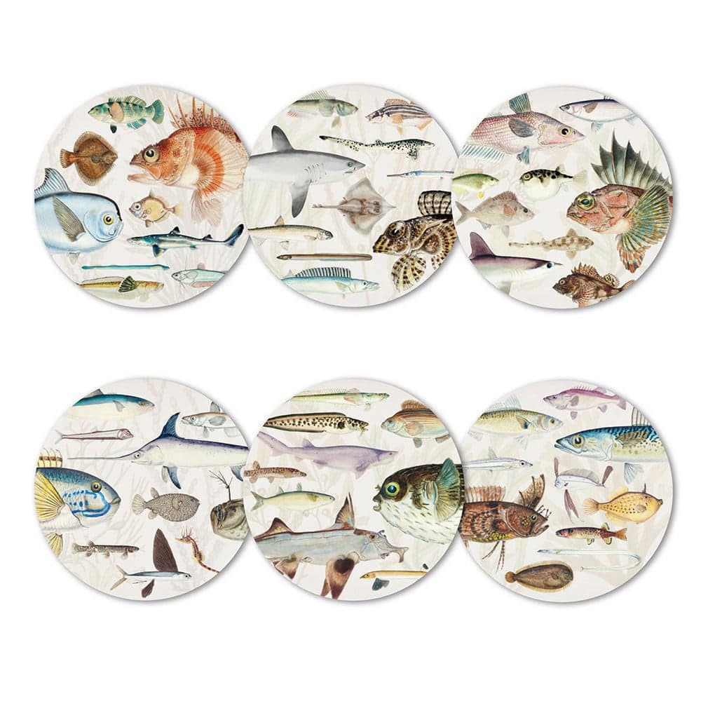 Fishes of NZ Box of 6 Coasters