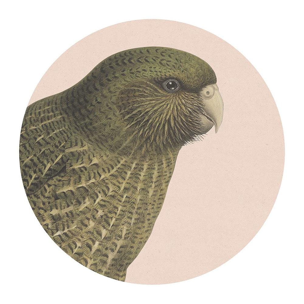 NZ Native Bird Placemat Pack of 2 - Hushed Pink Kakapo