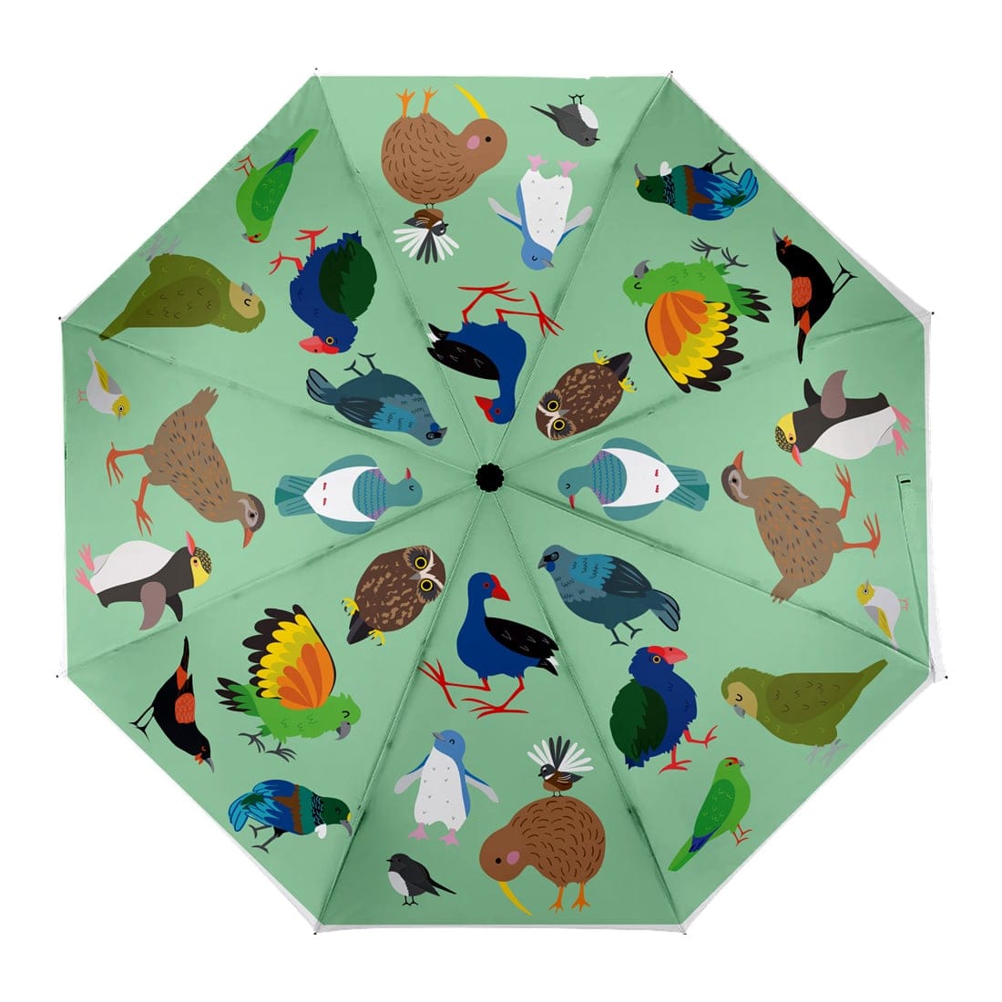 Native Birds Automatic Kids Umbrella