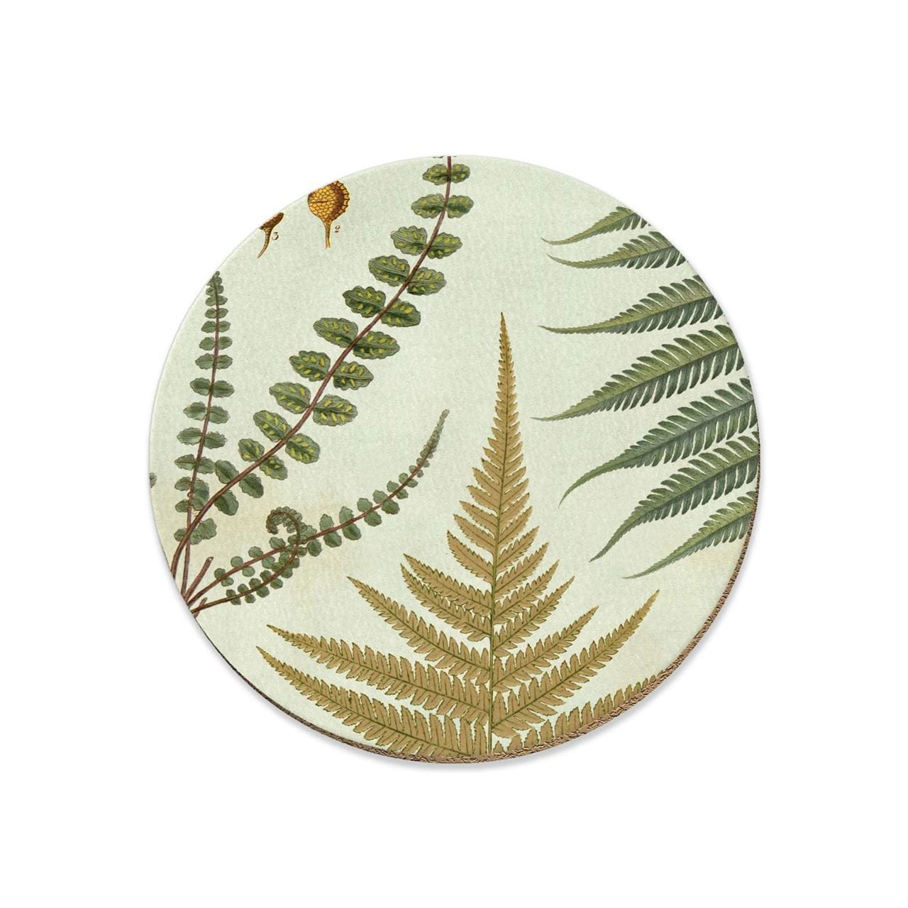 NZ Vintage Botanical Coaster - NZ Ferns