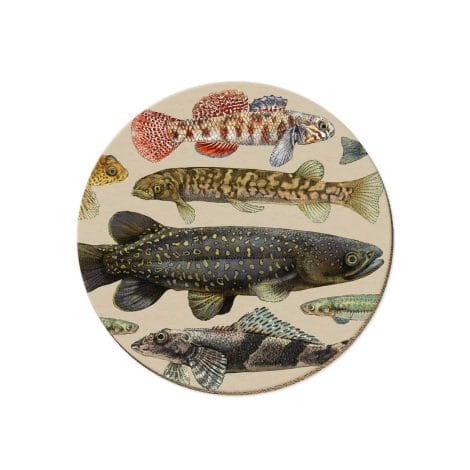 NZ Freshwater Fish Coasters Pack of 4