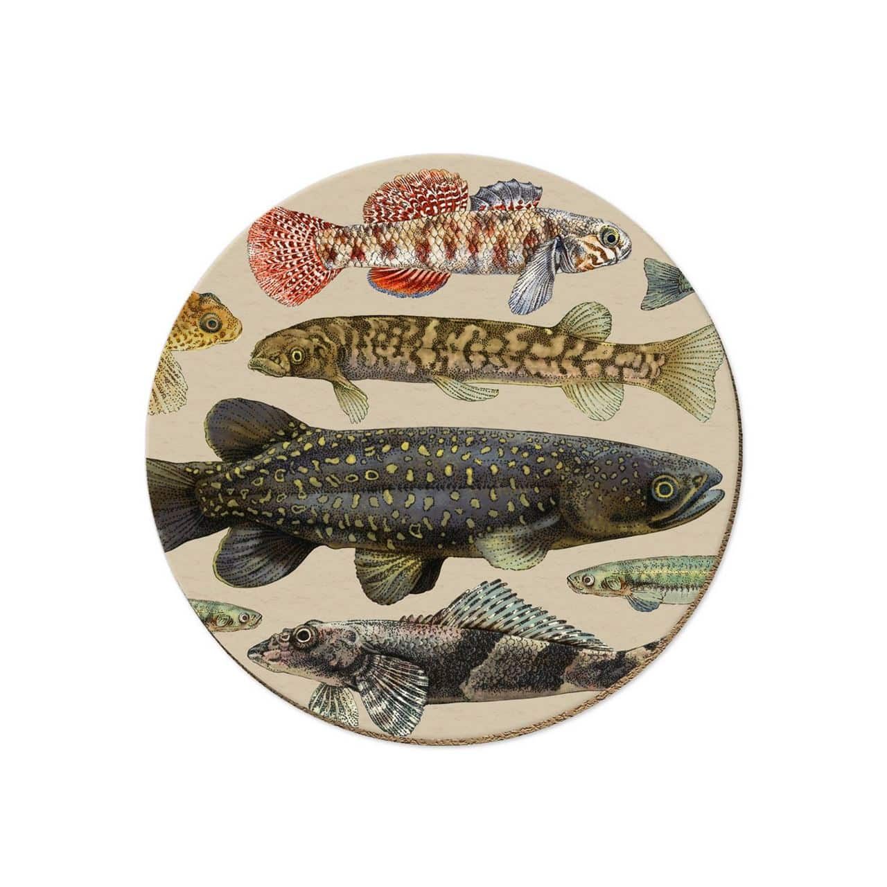 NZ Freshwater Fish Coasters Pack of 4