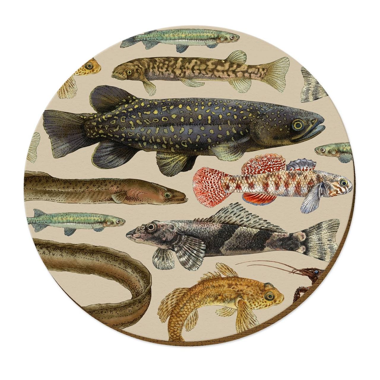 NZ Freshwater Fish Placemats Pack of 4
