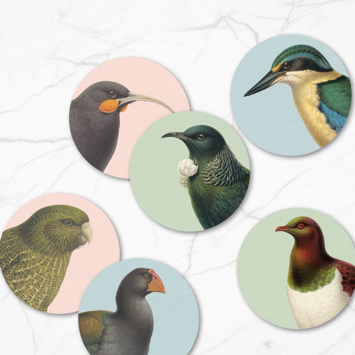 Hushed Birds Coasters Set of 6 - Image 3